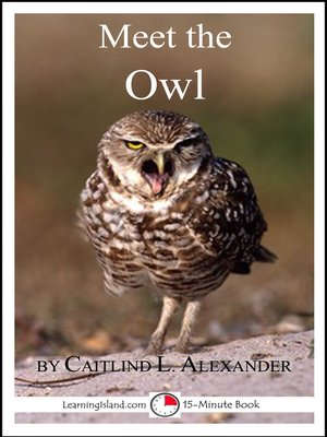 cover image of Meet the Owl